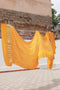 Rai Bandhani Silk Saree with Zari Pallu