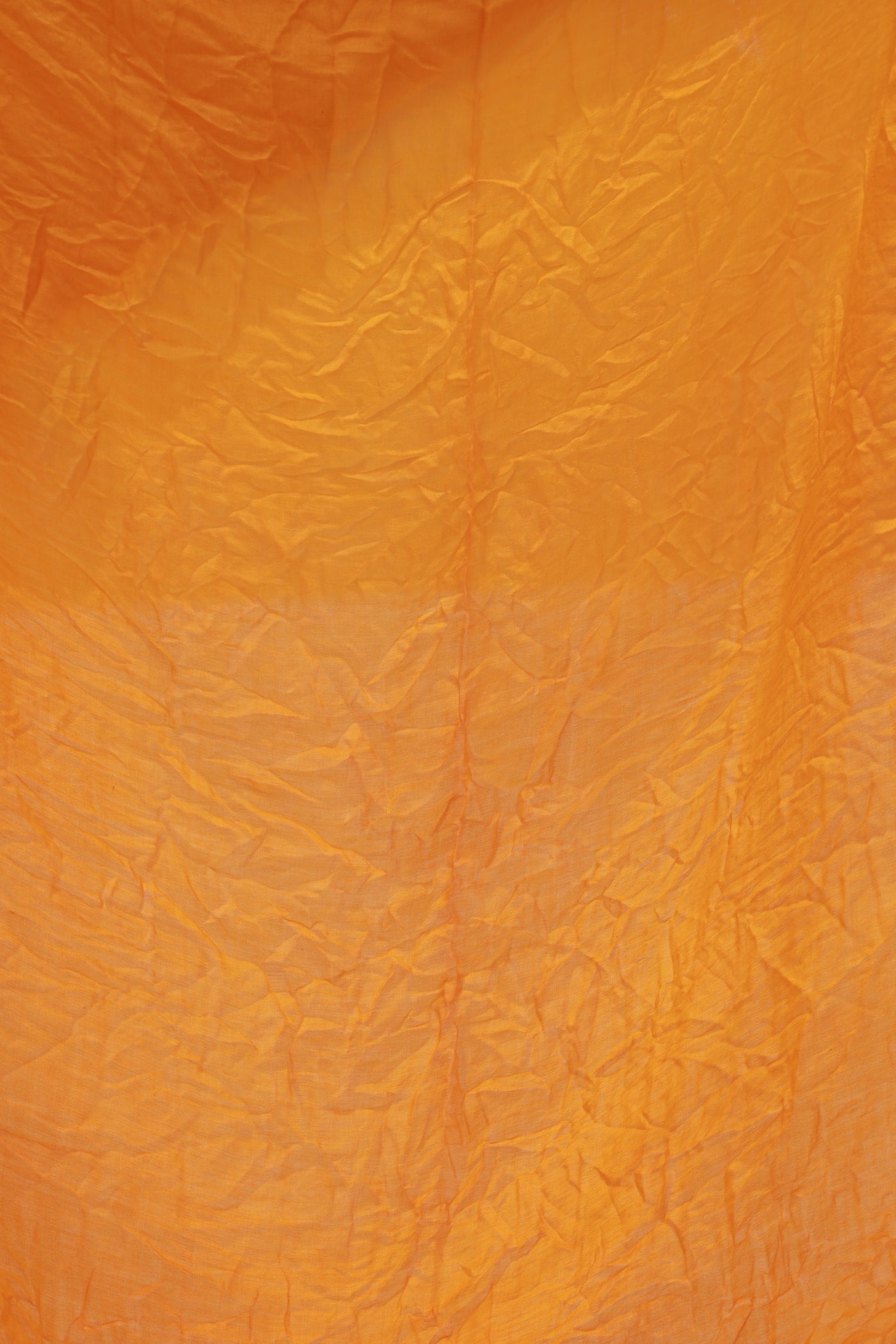 Handcrafted honey silk saree showcasing authentic Rai Bandhani artistry with rich zari detailing