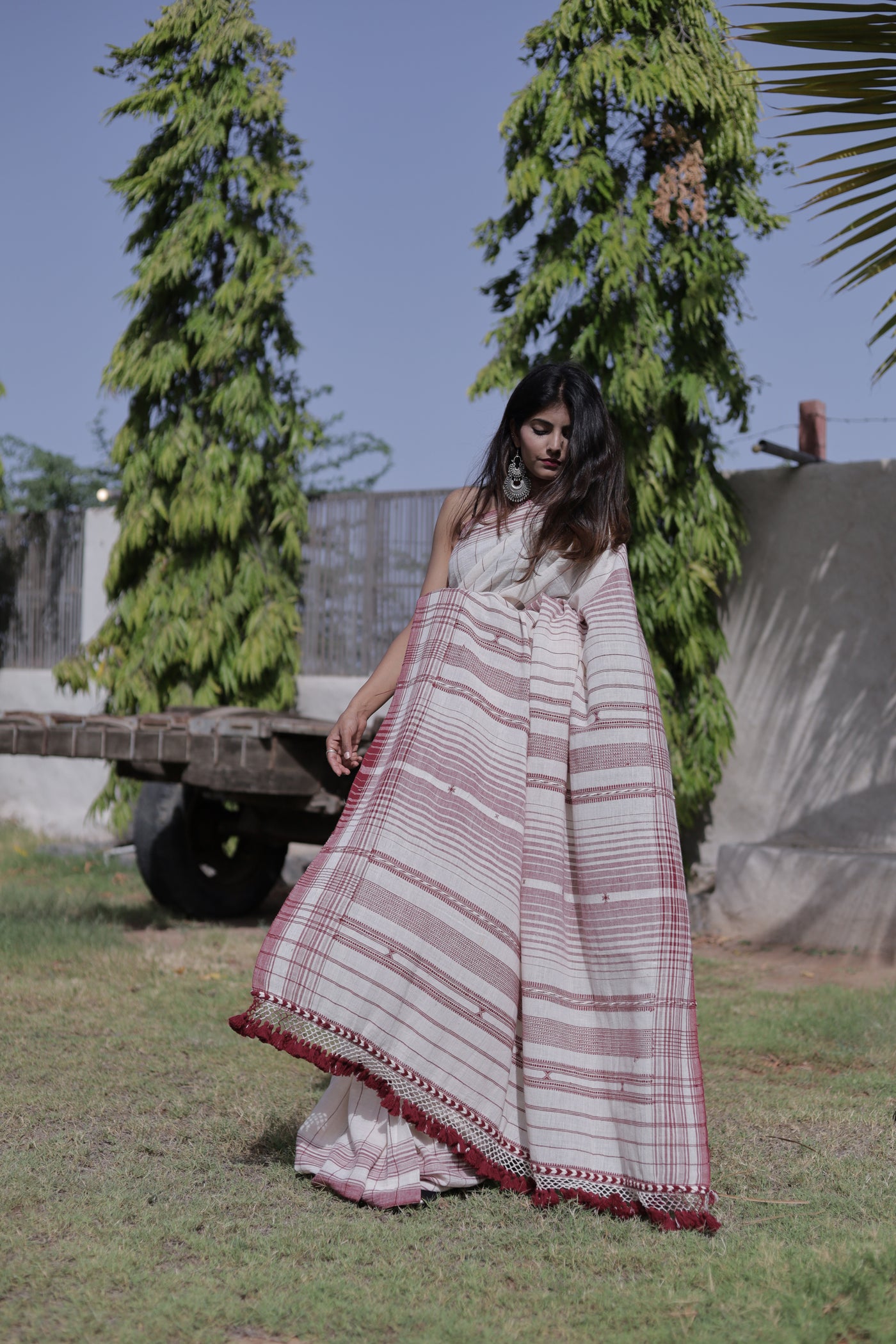 Elegant frost Bhujodi saree woven in sustainable Kala Cotton with intricate artisan detailing