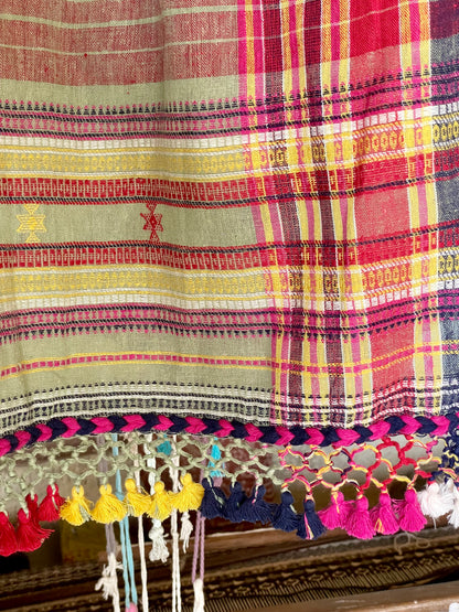 Premium meadow Kala Cotton saree showcasing traditional Bhujodi textile artistry and timeless appeal