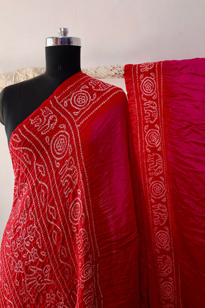 Ruby Bandhani Gajji silk saree featuring intricate tie-dye patterns and an elegant zari pallu