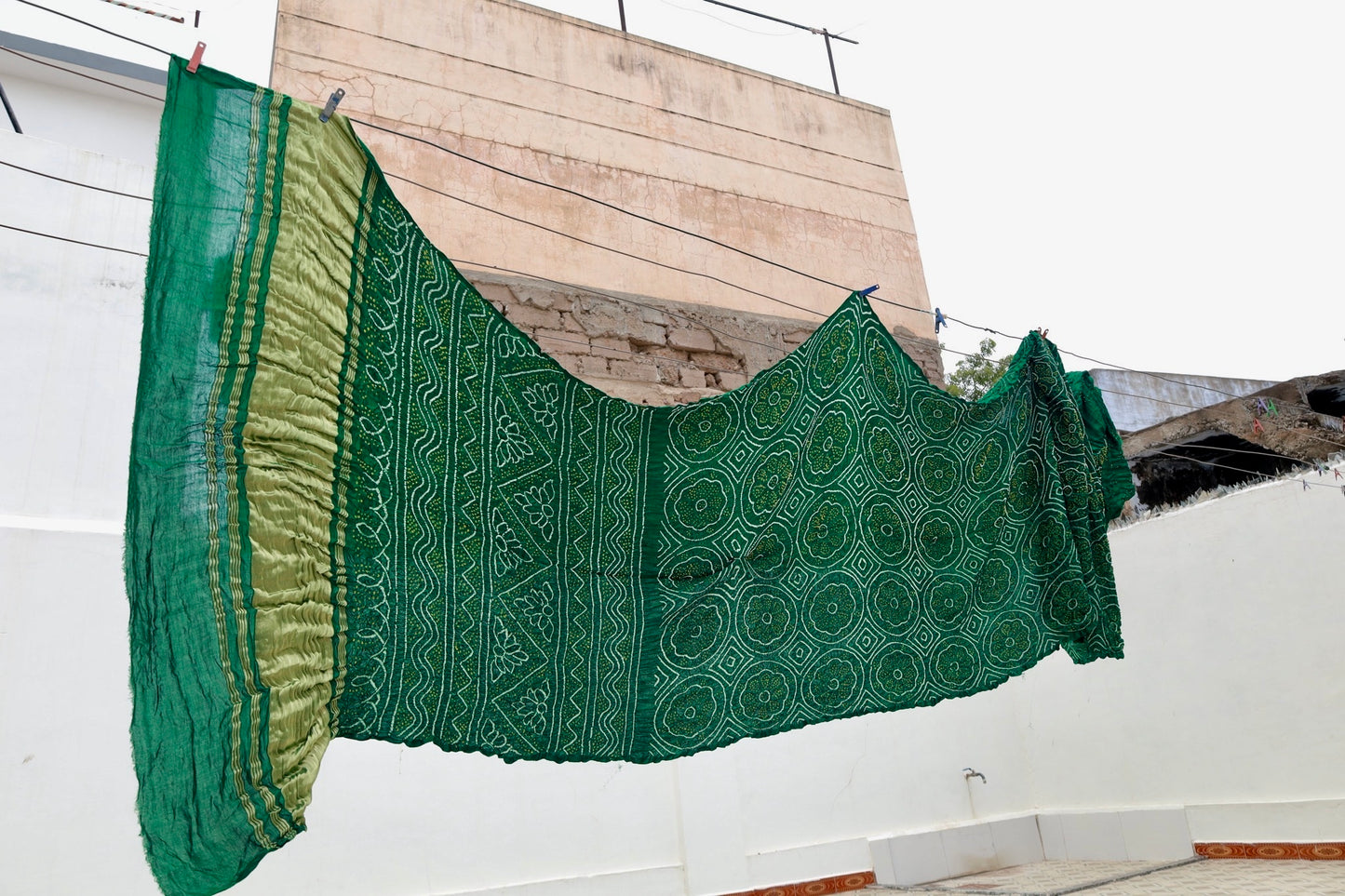 Forest Rai Bandhani silk saree featuring intricate tie-dye patterns and an elegant zari pallu