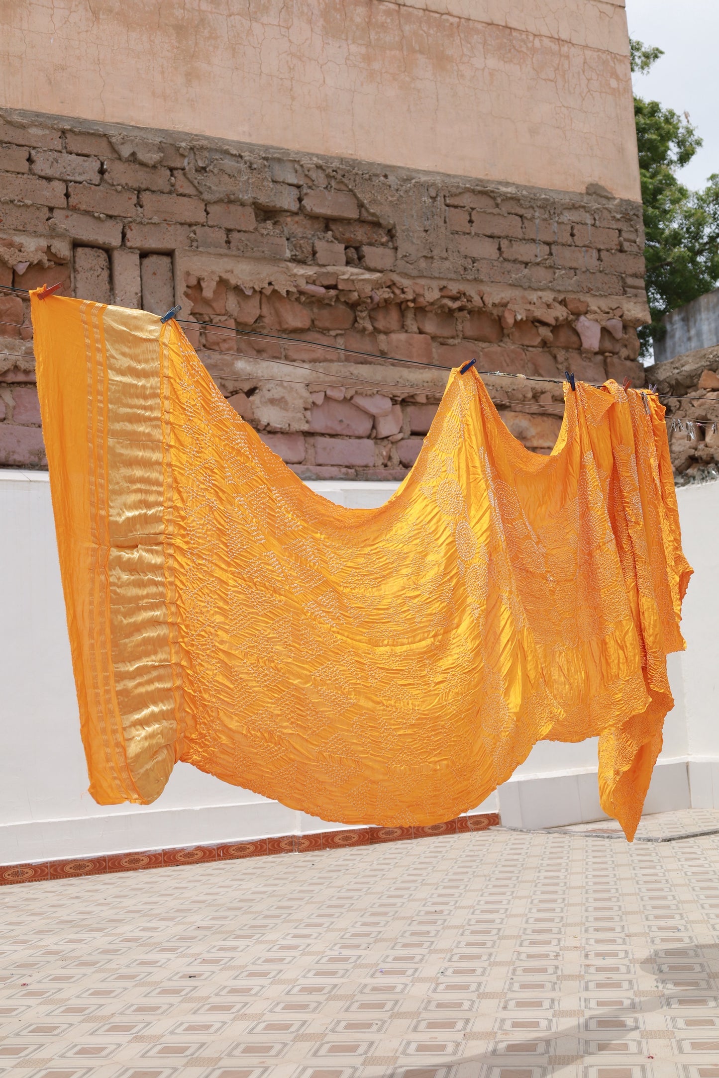 Honey Rai Bandhani silk saree featuring intricate tie-dye patterns and an elegant zari pallu