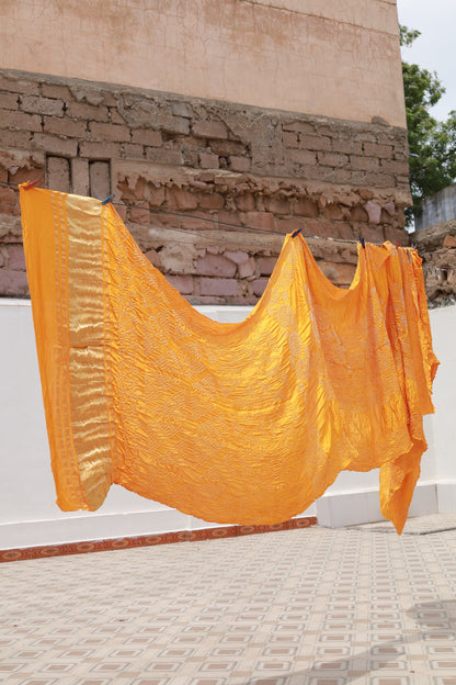 Honey Rai Bandhani silk saree featuring intricate tie-dye patterns and an elegant zari pallu