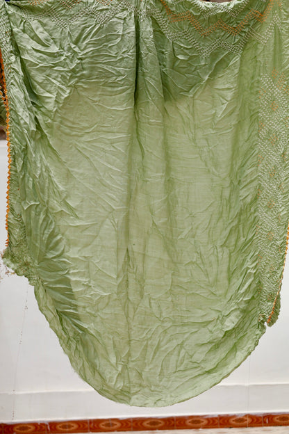 Premium sage green Rai Bandhani silk saree highlighting fine artisan craftsmanship and festive elegance