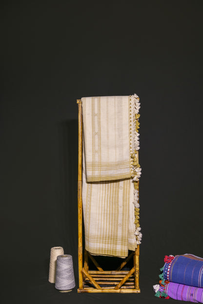 Traditional shell Bhujodi Kala Cotton saree with rich handwoven textures and graceful drape