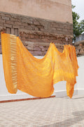 Honey Rai Bandhani Silk Saree with Zari Pallu