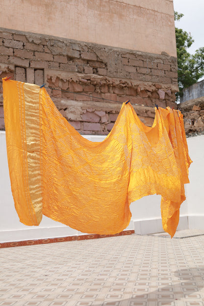 Honey Rai Bandhani silk saree featuring intricate tie-dye patterns and an elegant zari pallu