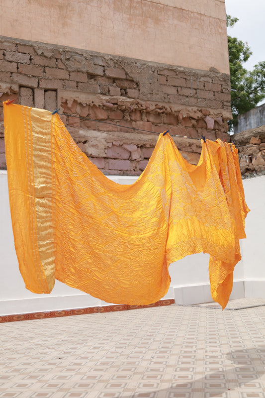 Honey Rai Bandhani silk saree featuring intricate tie-dye patterns and an elegant zari pallu