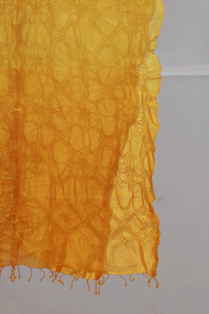 Bandhani Tussar Silk Dupatta