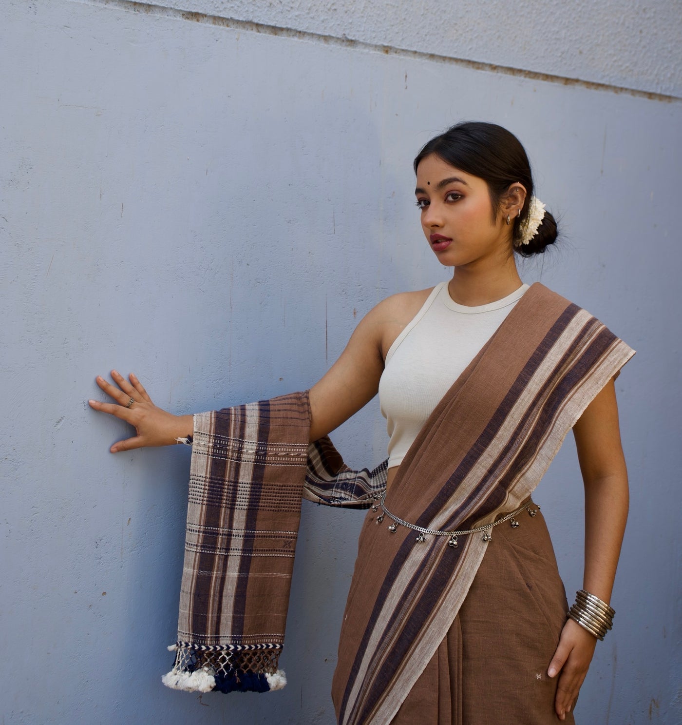 Mocha Kala Cotton Bhujodi saree featuring traditional handwoven patterns and artisanal craftsmanship