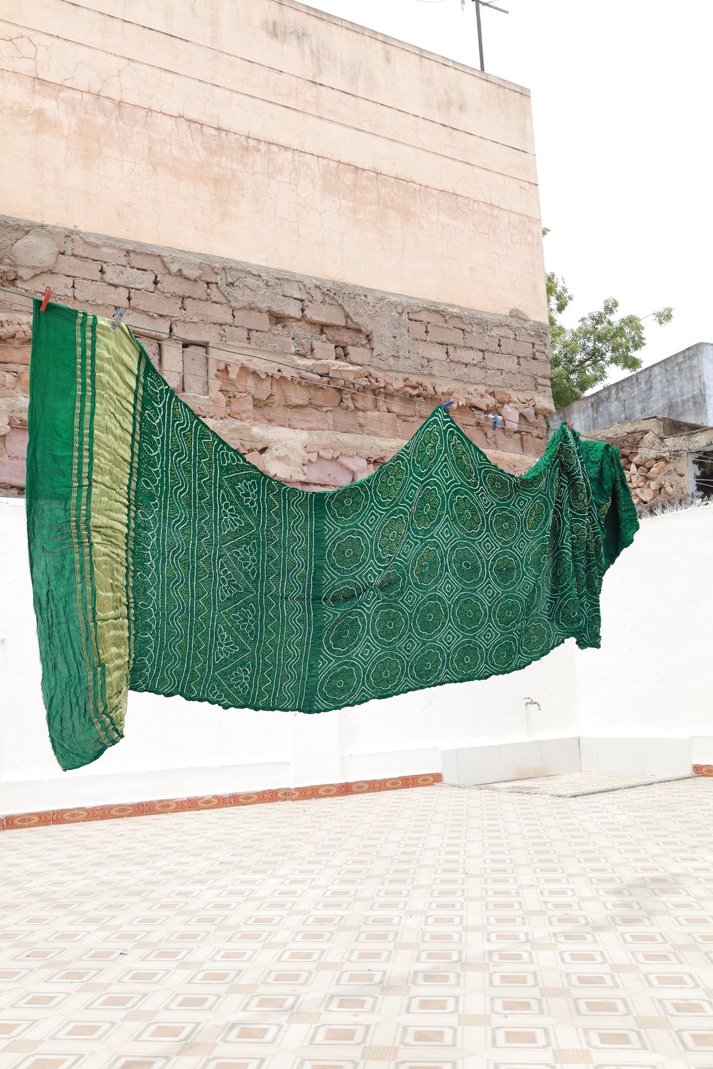 Premium forest Rai Bandhani silk saree highlighting fine artisan craftsmanship and festive elegance