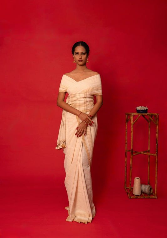 Shell Kala Cotton Bhujodi saree featuring traditional handwoven patterns and artisanal craftsmanship