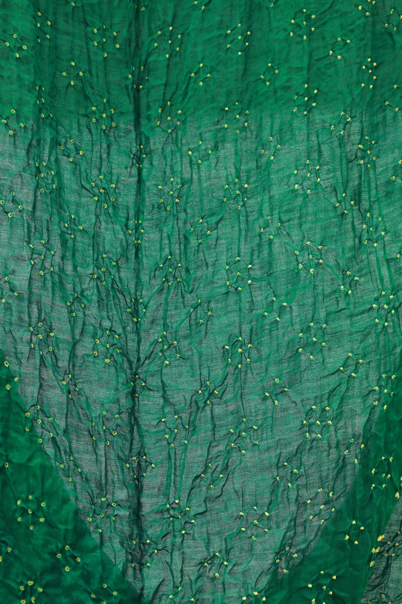 Handcrafted forest silk saree showcasing authentic Rai Bandhani artistry with rich zari detailing