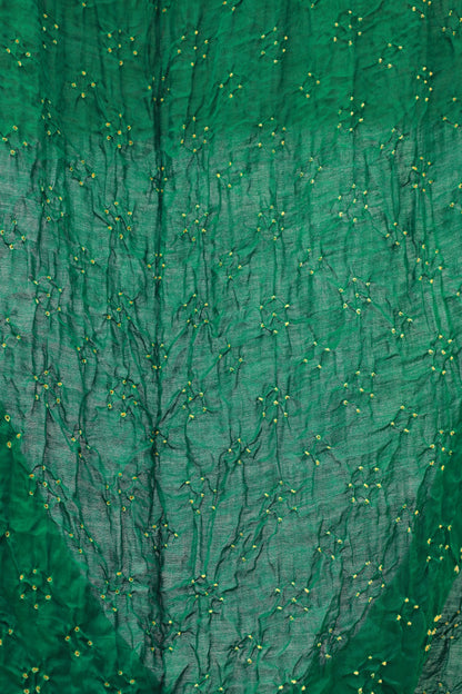 Handcrafted forest silk saree showcasing authentic Rai Bandhani artistry with rich zari detailing